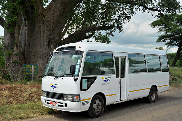 Victoria Falls Airport ⇆  Kasane Airport